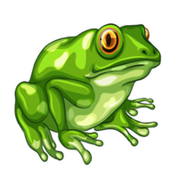 FROG