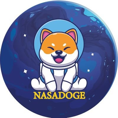 Nasa Doge