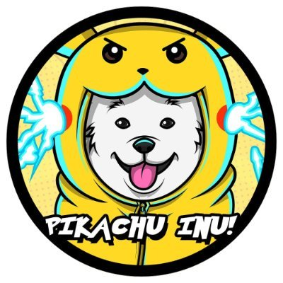 Pikachu Inu